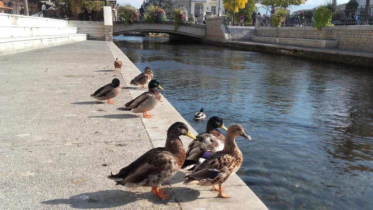 Sweet Provence Bis Διαμέρισμα LʼIsle-sur-la-Sorgue Εξωτερικό φωτογραφία